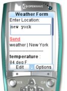 Mobile Weather Form